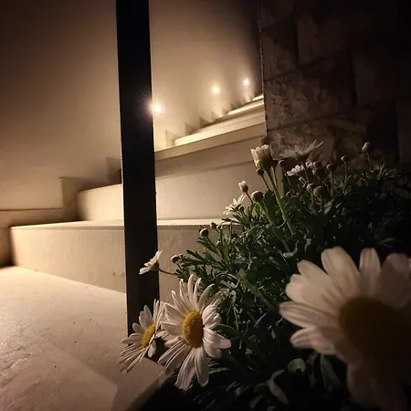 Lina Apartment